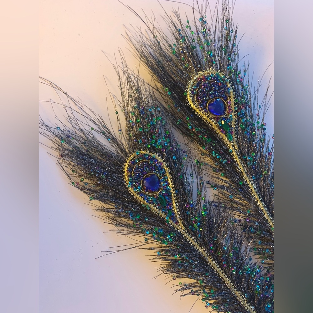 Decorative Peacock Feather Stems